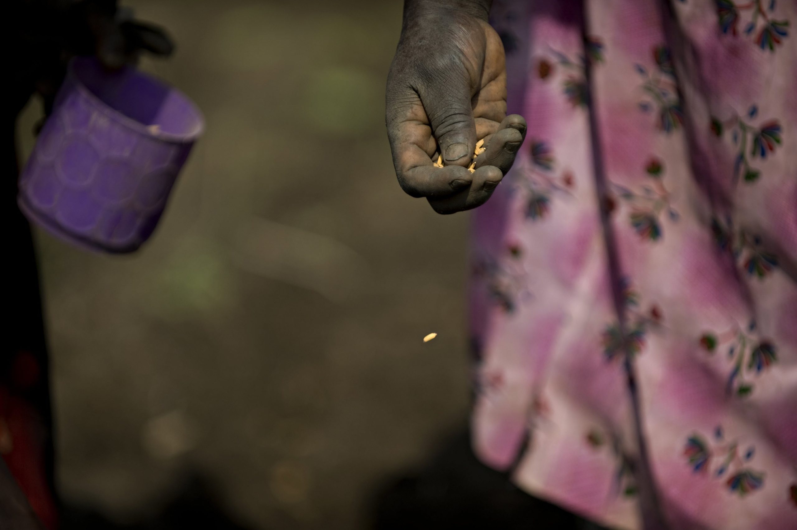 Food systems resilience-building for East and Southern Africa enters new phase