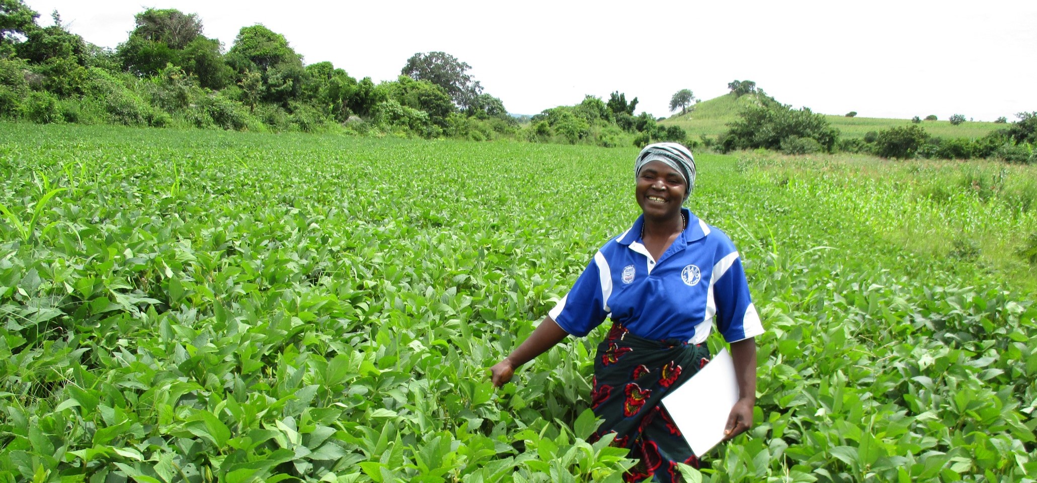 CGIAR Initiative on Diversification in East and Southern Africa