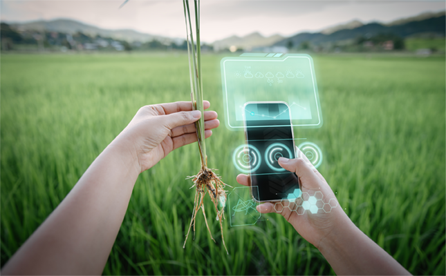 Sustaining existing trade partnerships and finding new markets is imperative for South African agriculture