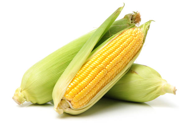 Food and Agriculture Organization of the United Nations (FAO) warns of maize shortfall across Southern Africa